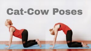 cat-cow pose fpr yoga and stress relief , athletes